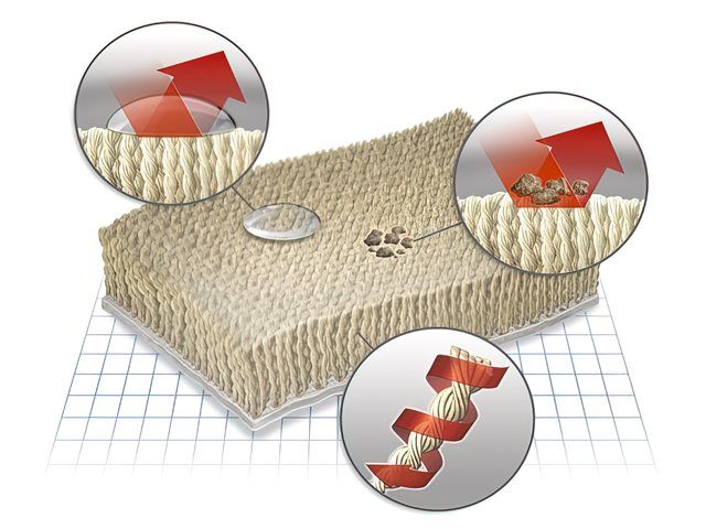 images/scoth-gard/slider/scotchhgard-stain-protection-services-1-kireth-ai (1).jpg